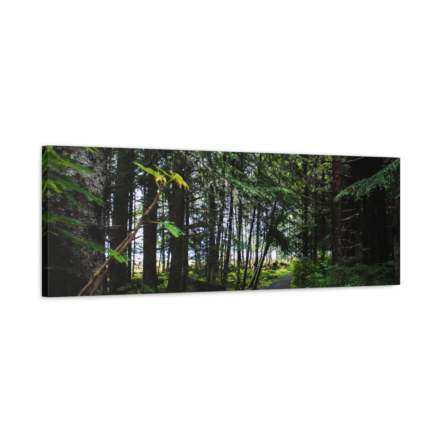 Copy of Canvas Art Print - Trail Through The Trees-Photograph
