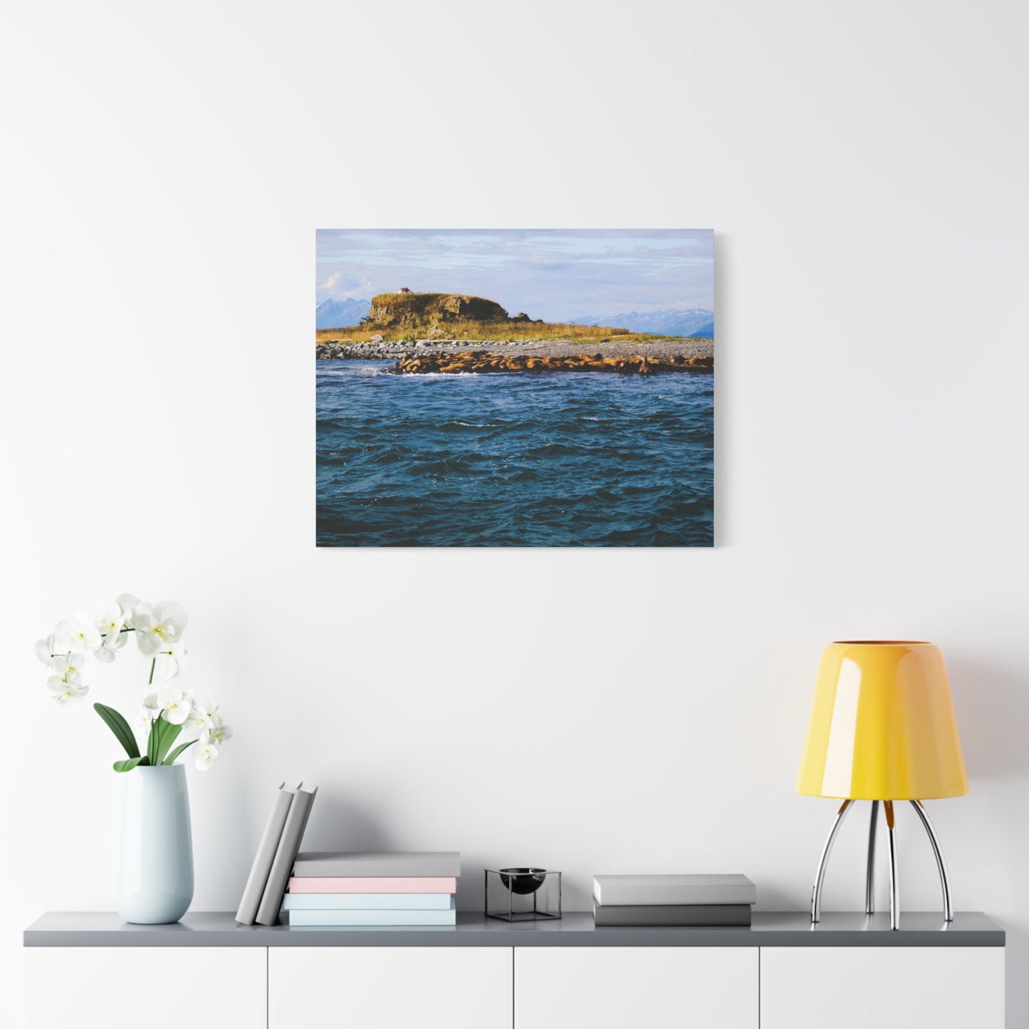 Canvas Print - Photo of Seal Island