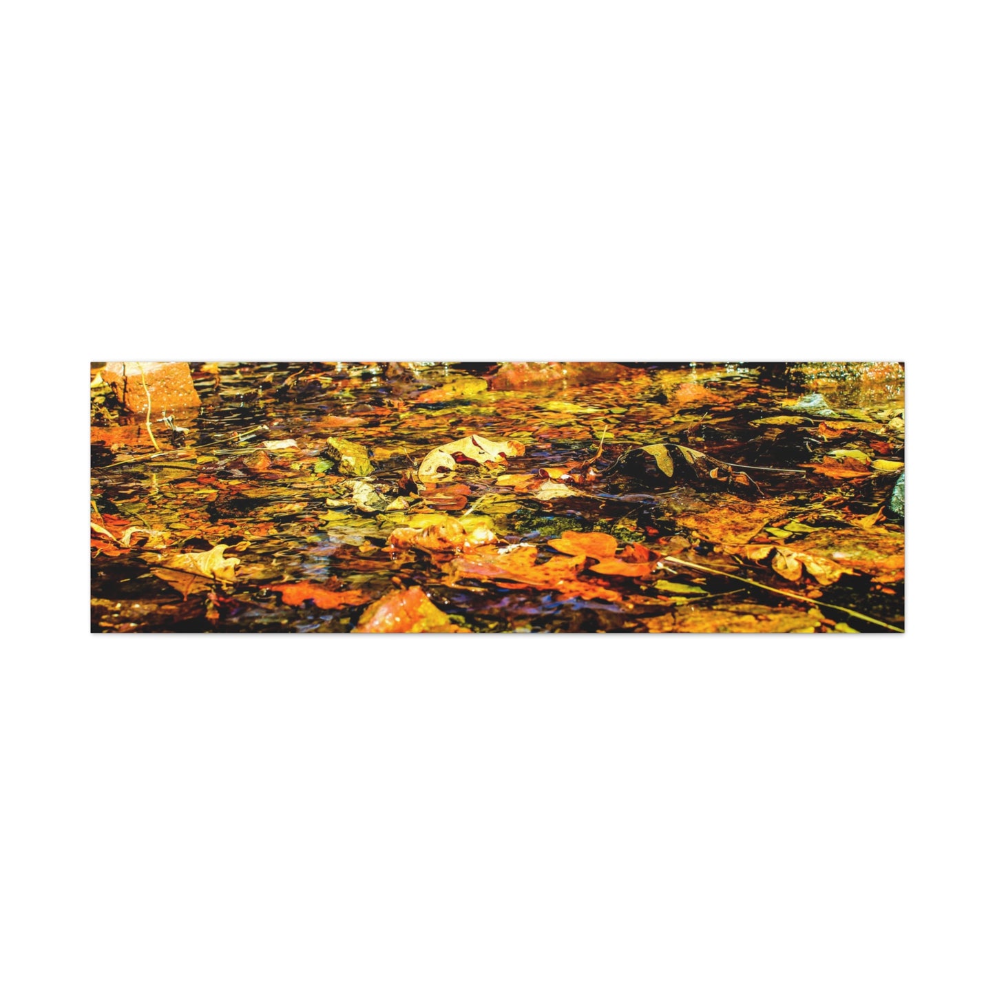 Canvas Print - Fall Leaves in Quiet Stream Photography