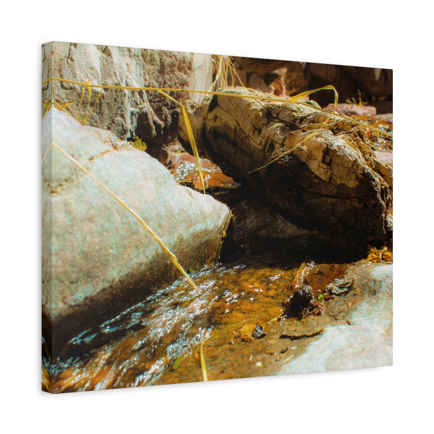 Canvas Print Lazy Log Photography