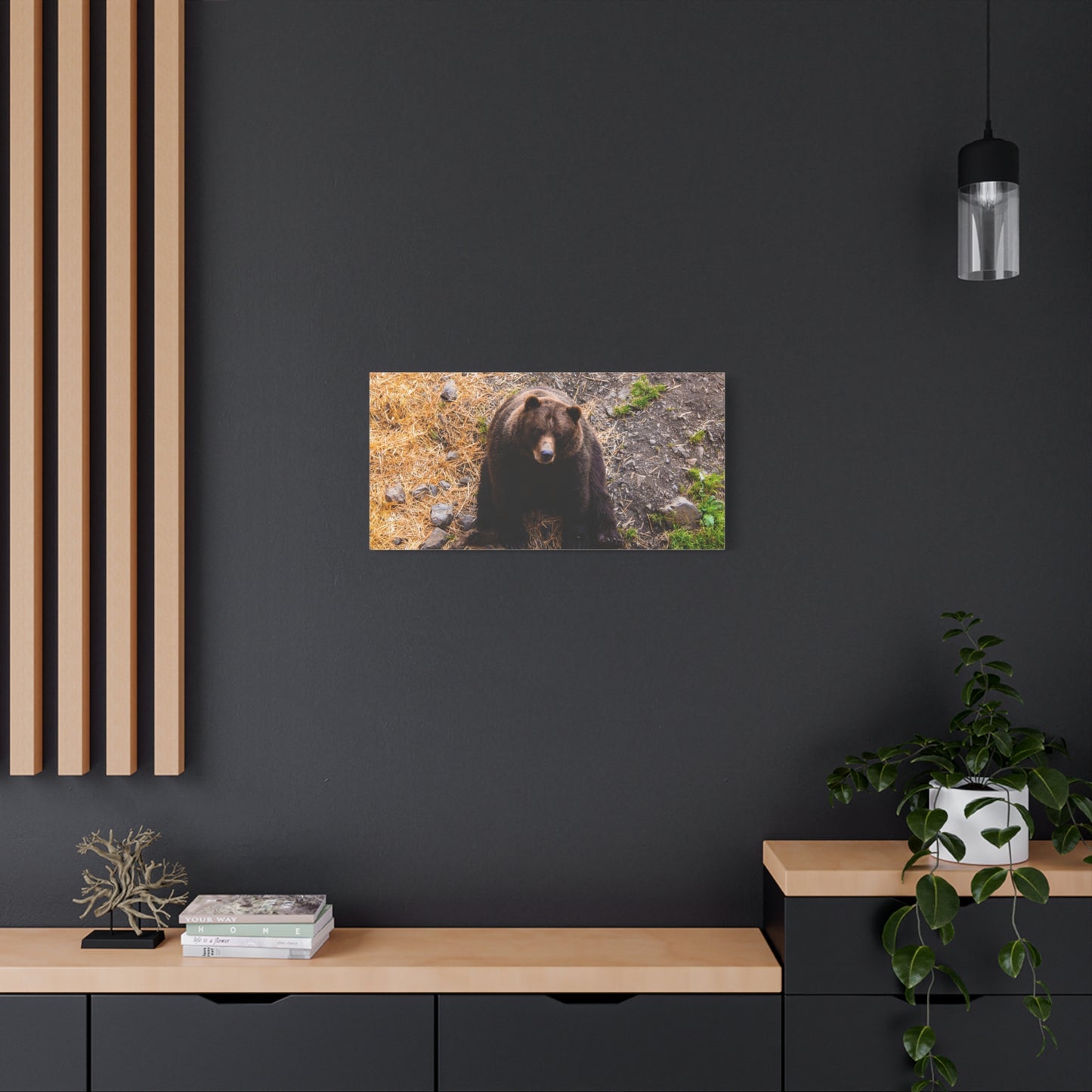 Canvas Print - Staring Bear Photograph