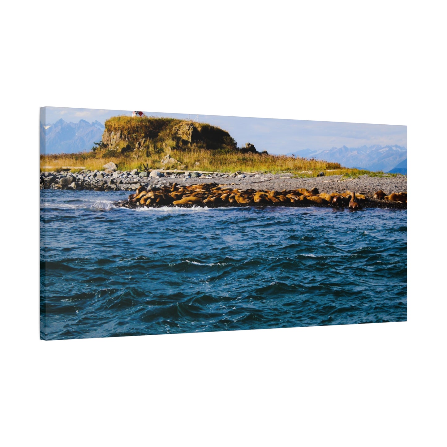 Canvas Print - Photo of Seal Island
