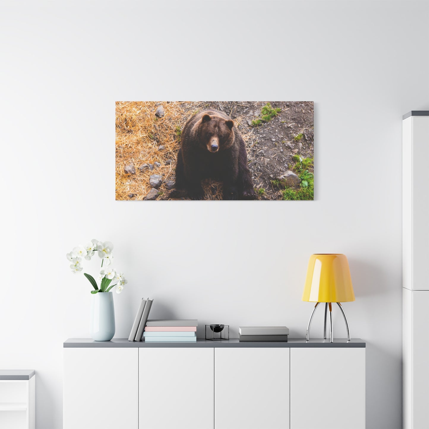 Canvas Print - Staring Bear Photograph
