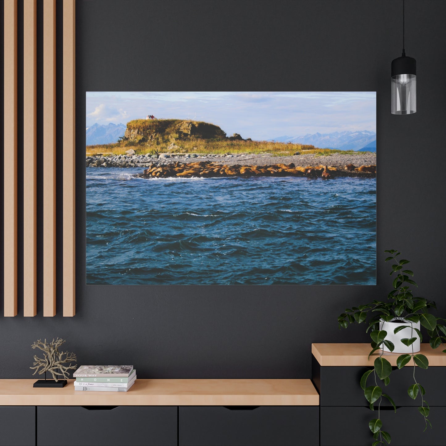 Canvas Print - Photo of Seal Island