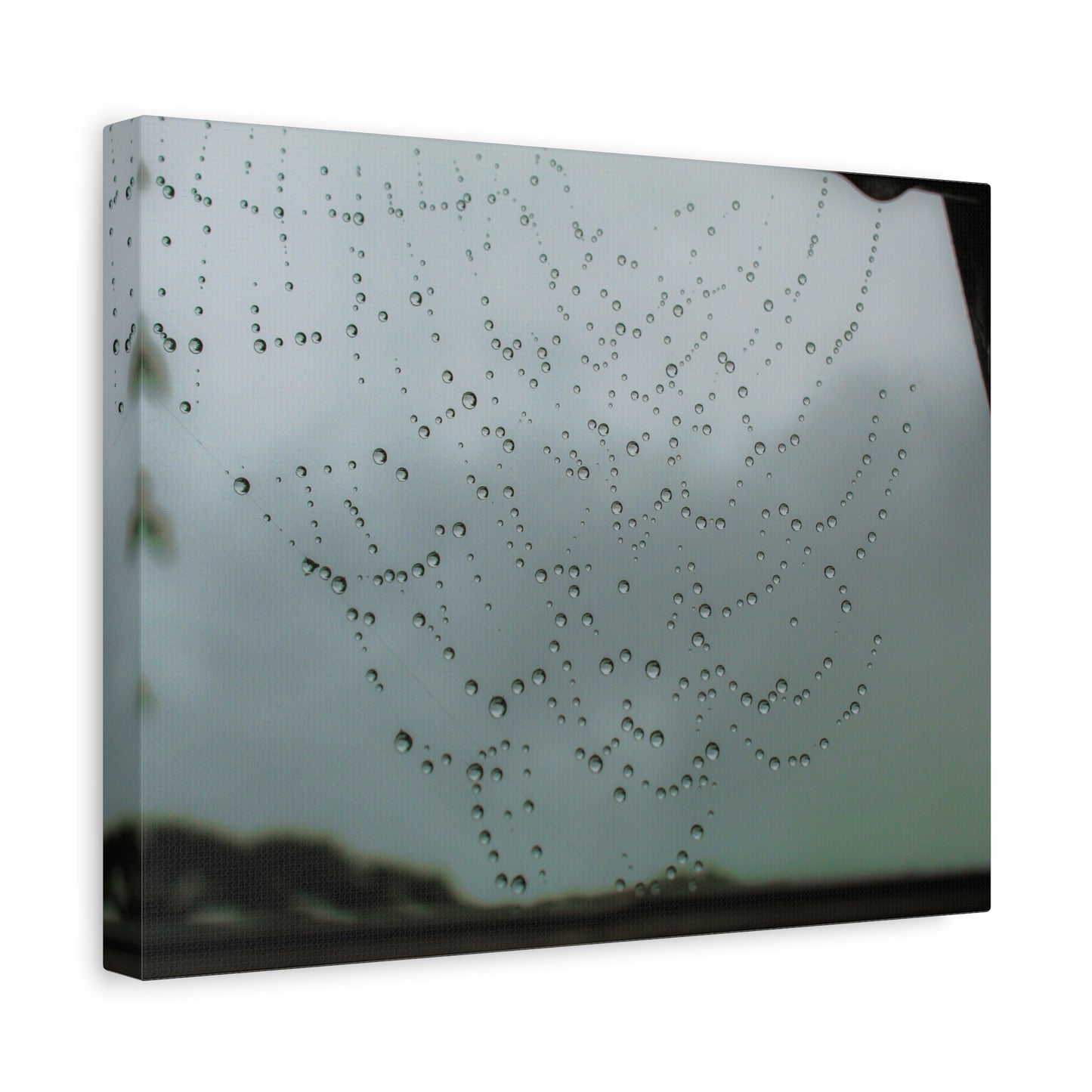 Canvas Print - Morning Dew on Spider Web Photo