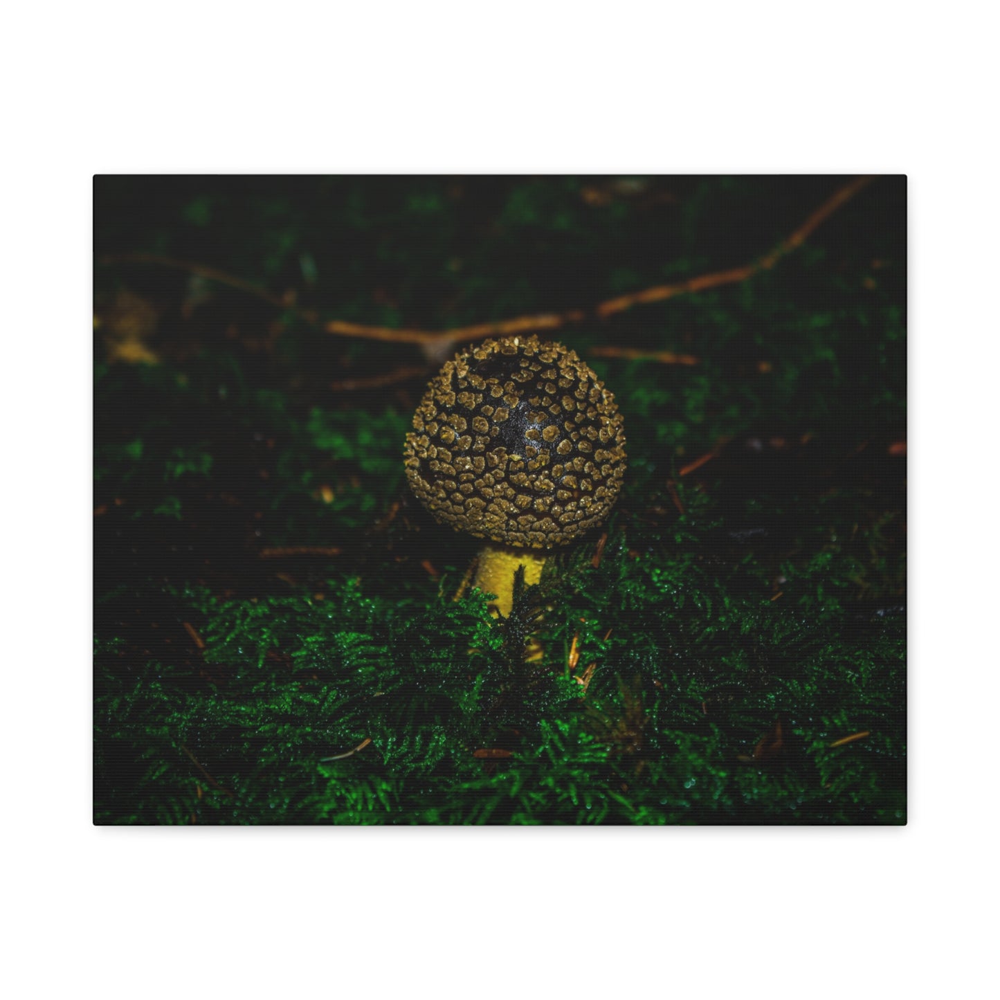 Canvas Print - Micro Mushroom Design