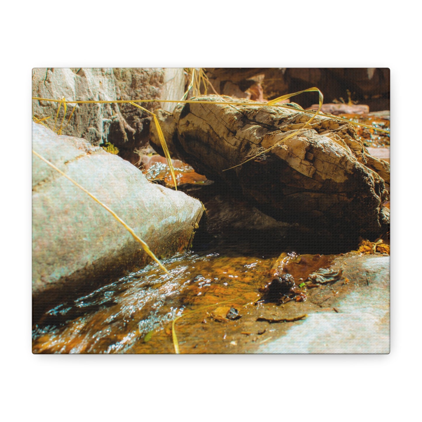Canvas Print Lazy Log Photography