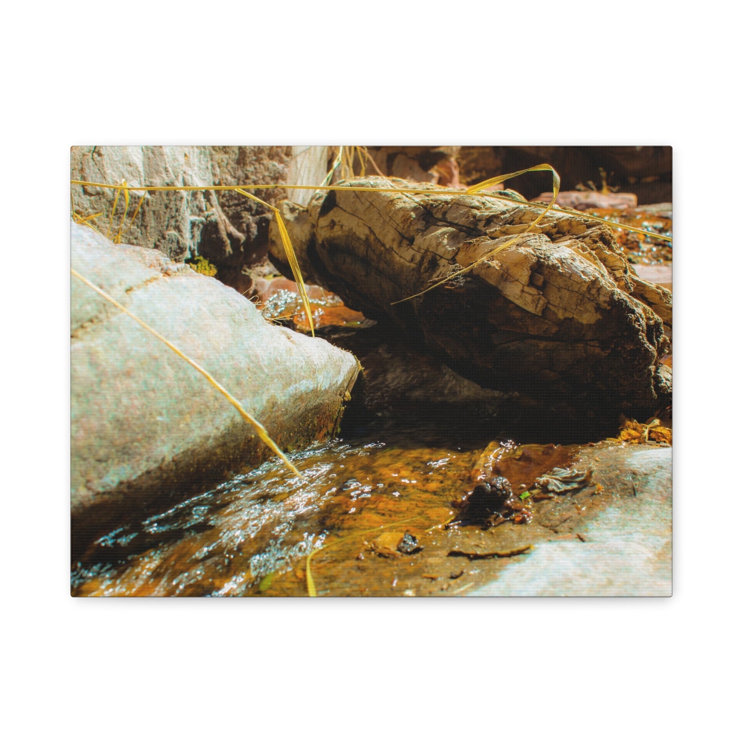 Canvas Print Lazy Log Photography