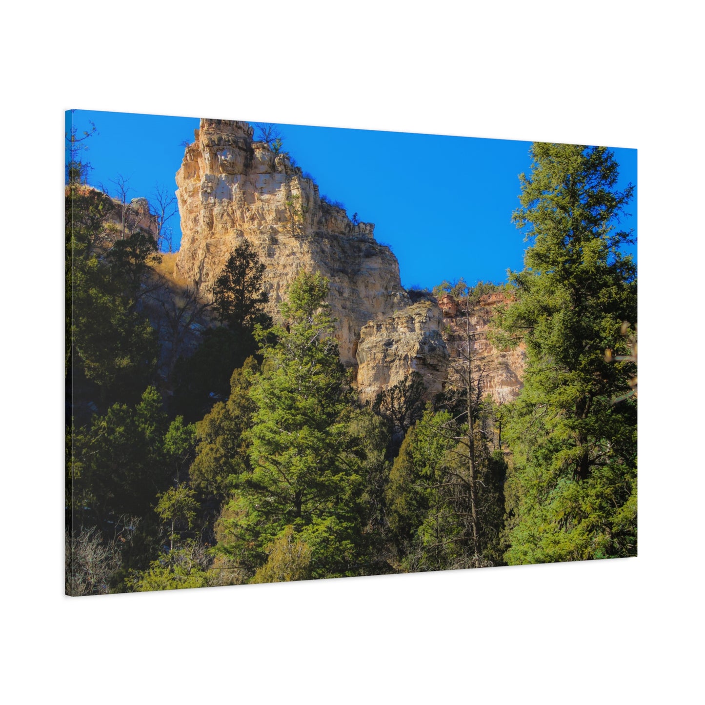 Canvas Print - Towering Cliff Green Trees Blue Skies Photography