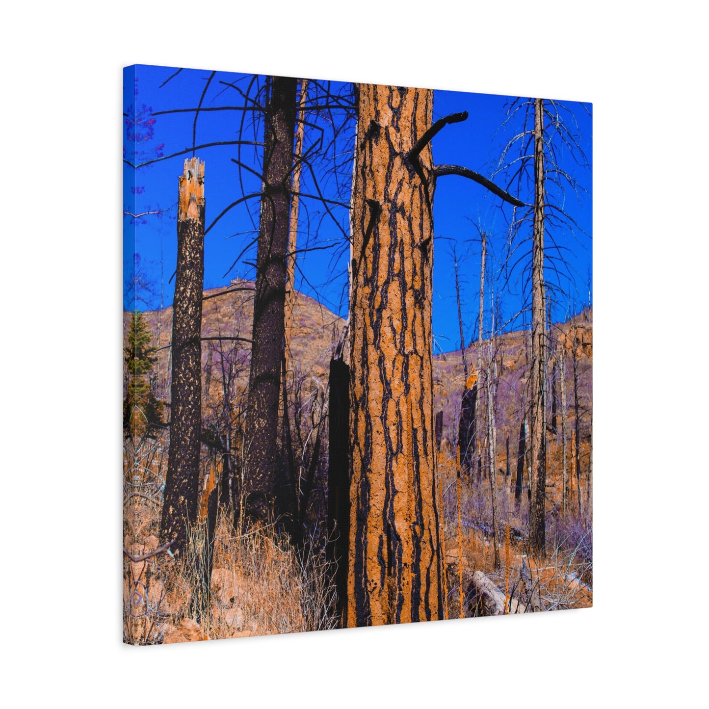Canvas Print - Thunder Struck Tree Photo