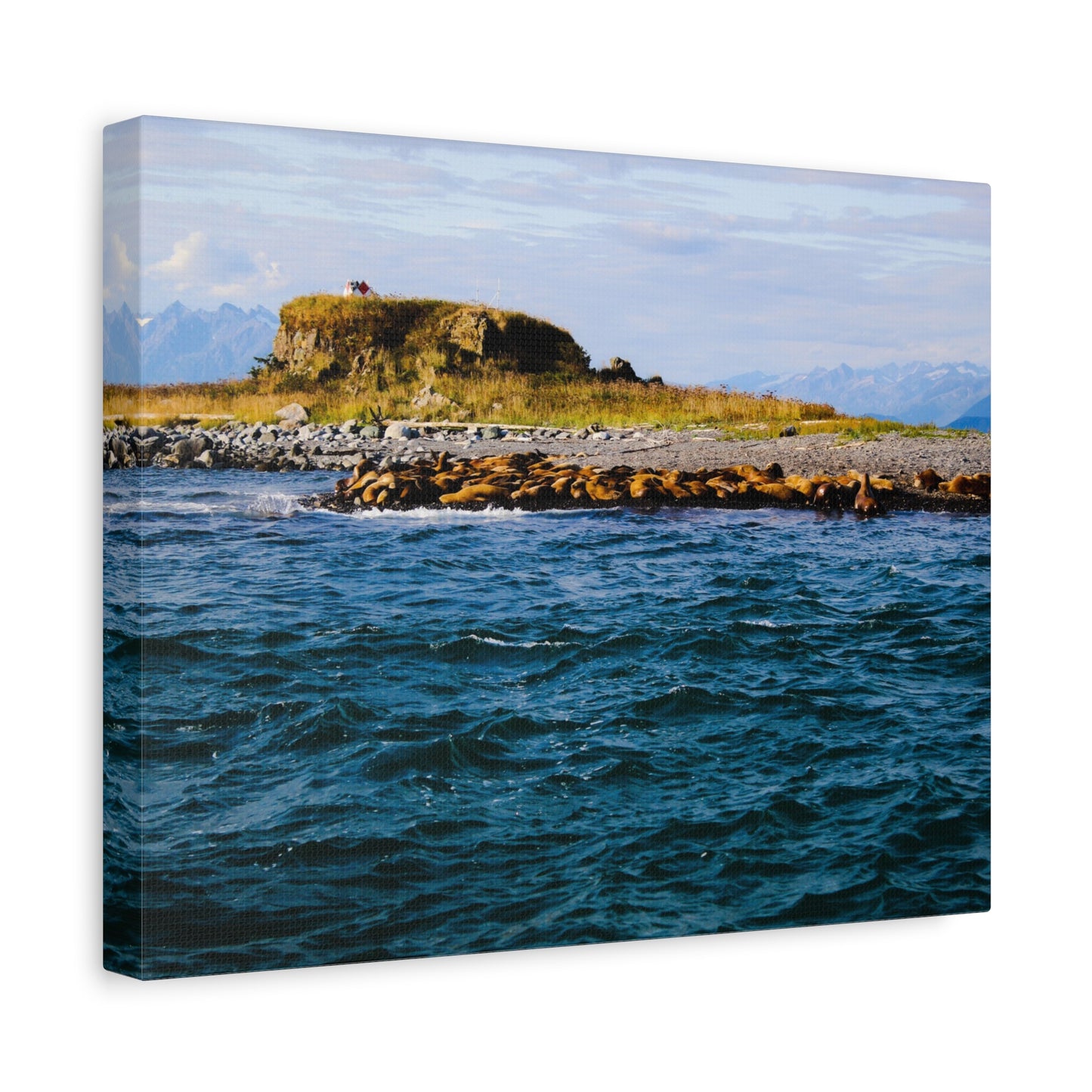 Canvas Print - Photo of Seal Island