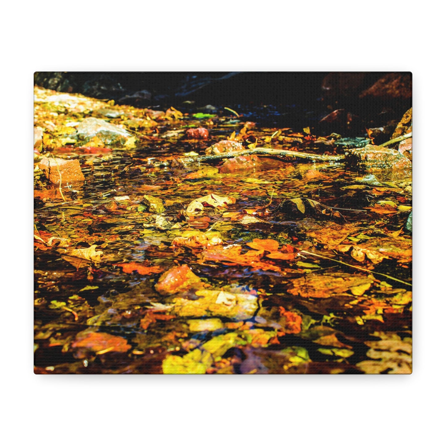 Canvas Print - Fall Leaves in Quiet Stream Photography