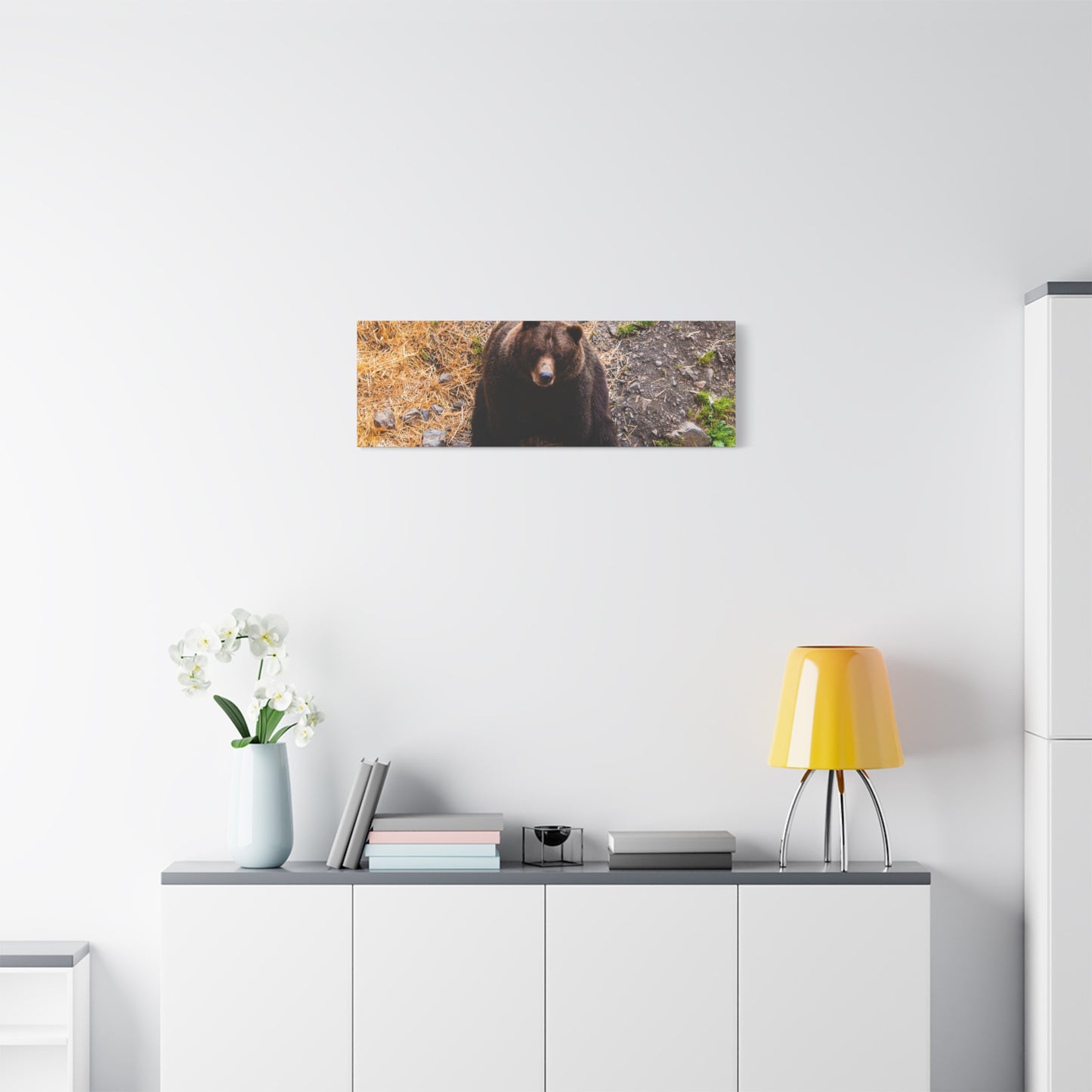 Canvas Print - Staring Bear Photograph