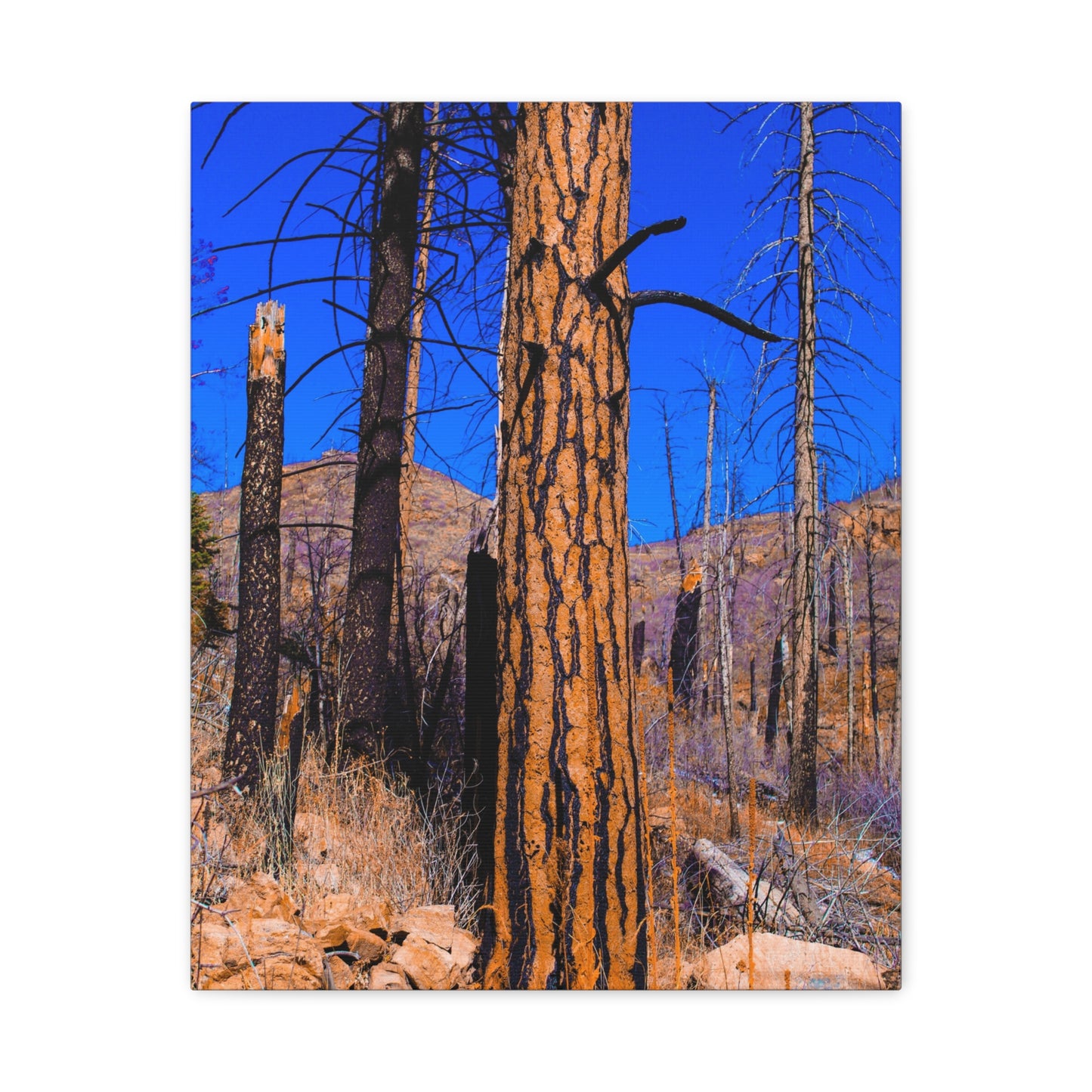 Canvas Print - Thunder Struck Tree Photo