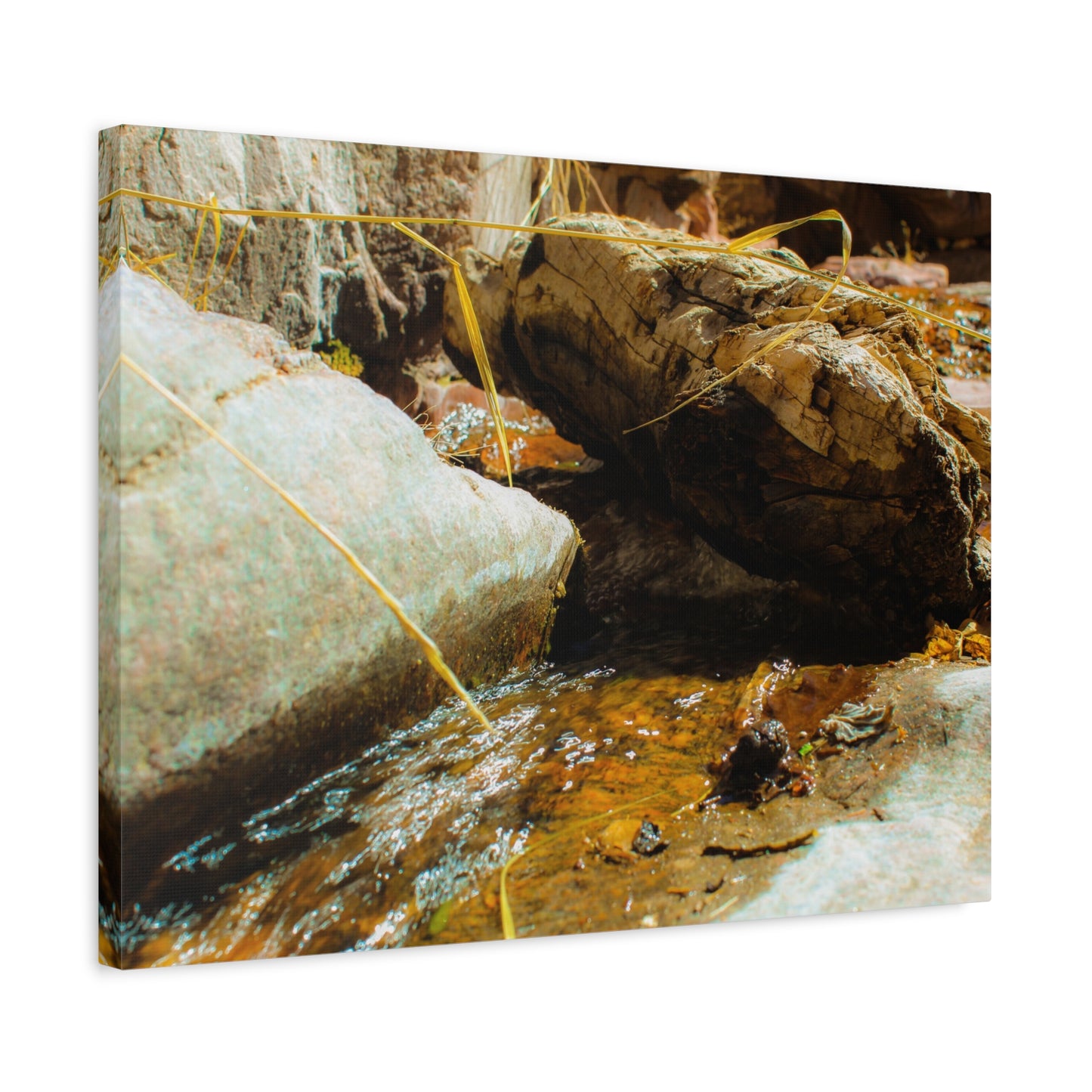 Canvas Print Lazy Log Photography