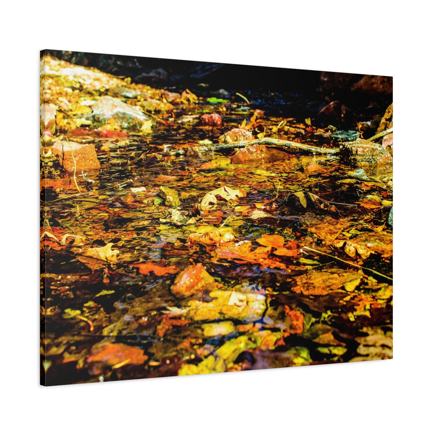 Canvas Print - Fall Leaves in Quiet Stream Photography