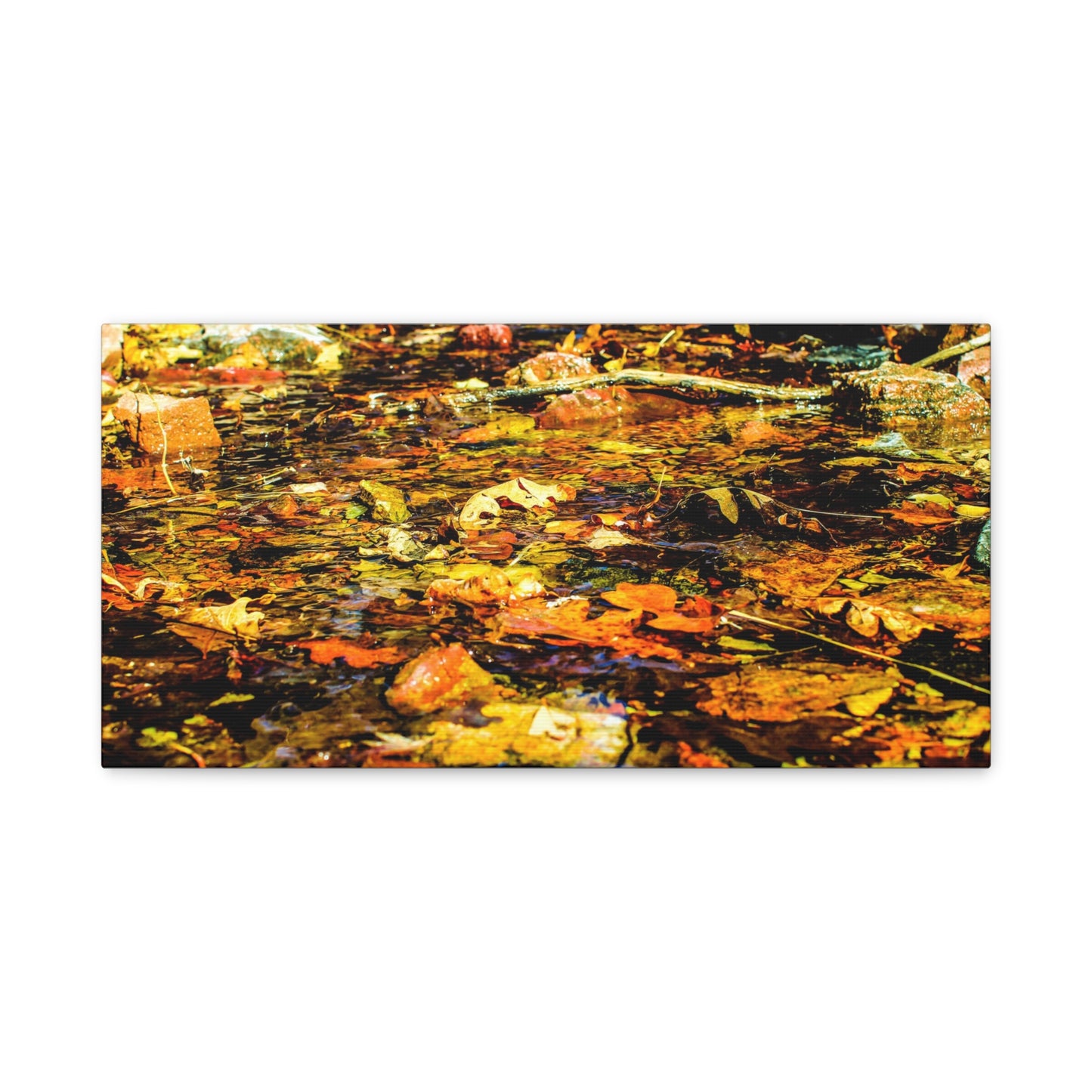 Canvas Print - Fall Leaves in Quiet Stream Photography