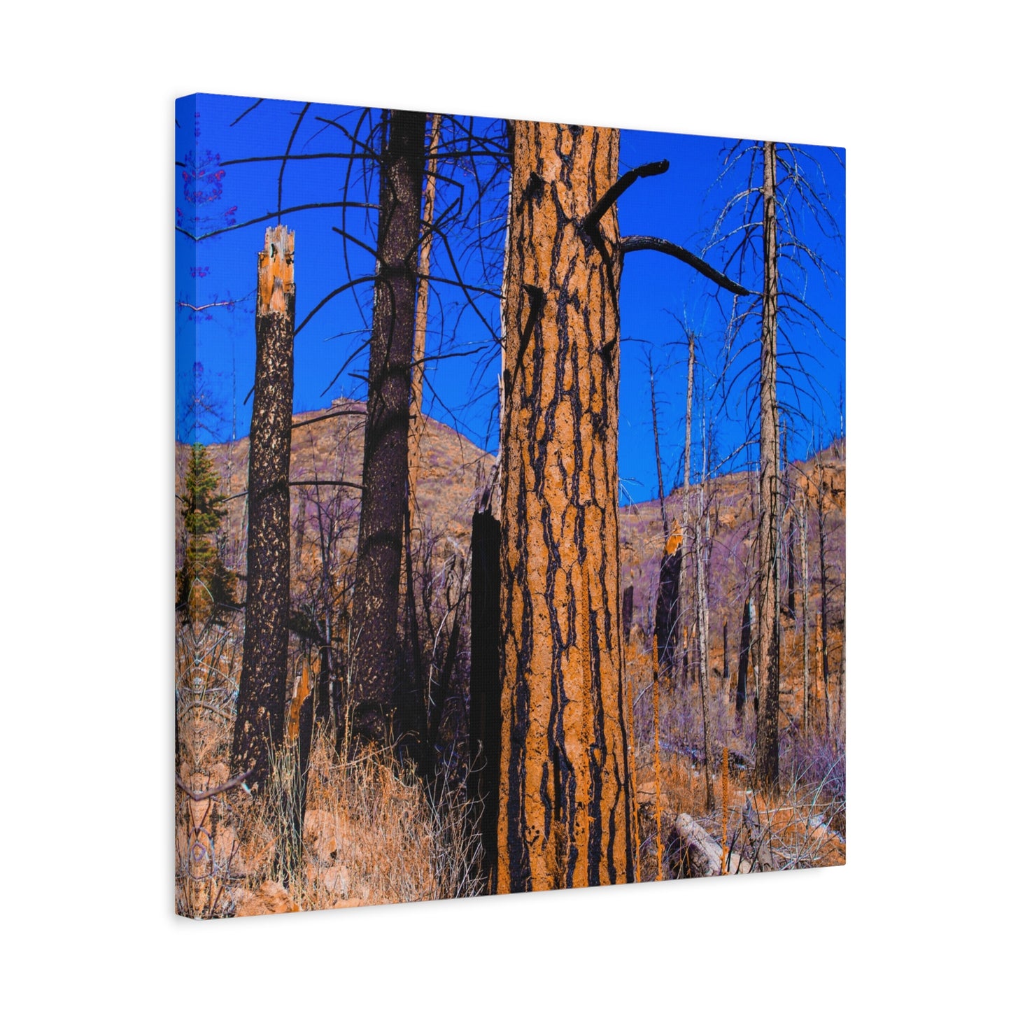 Canvas Print - Thunder Struck Tree Photo