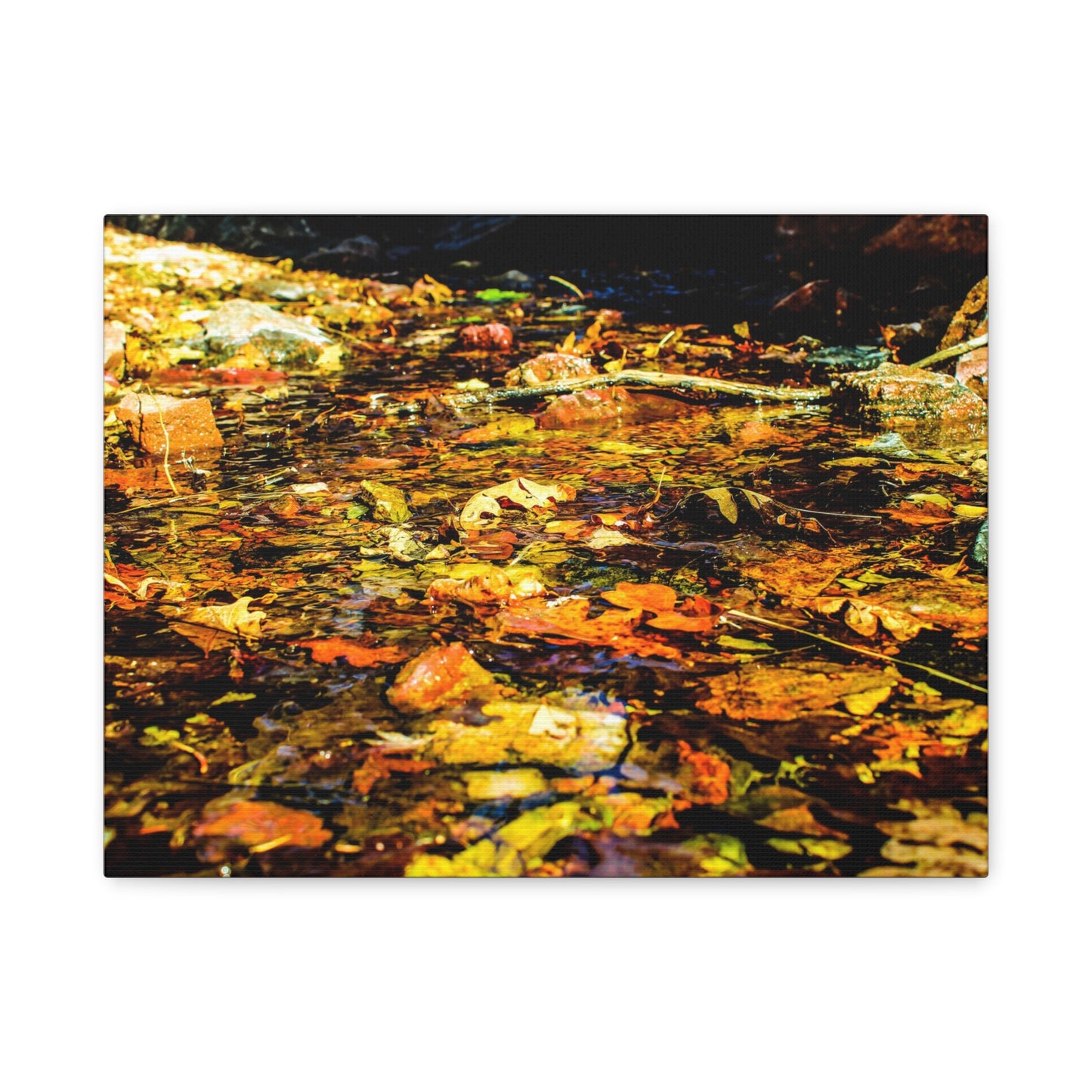 Canvas Print - Fall Leaves in Quiet Stream Photography