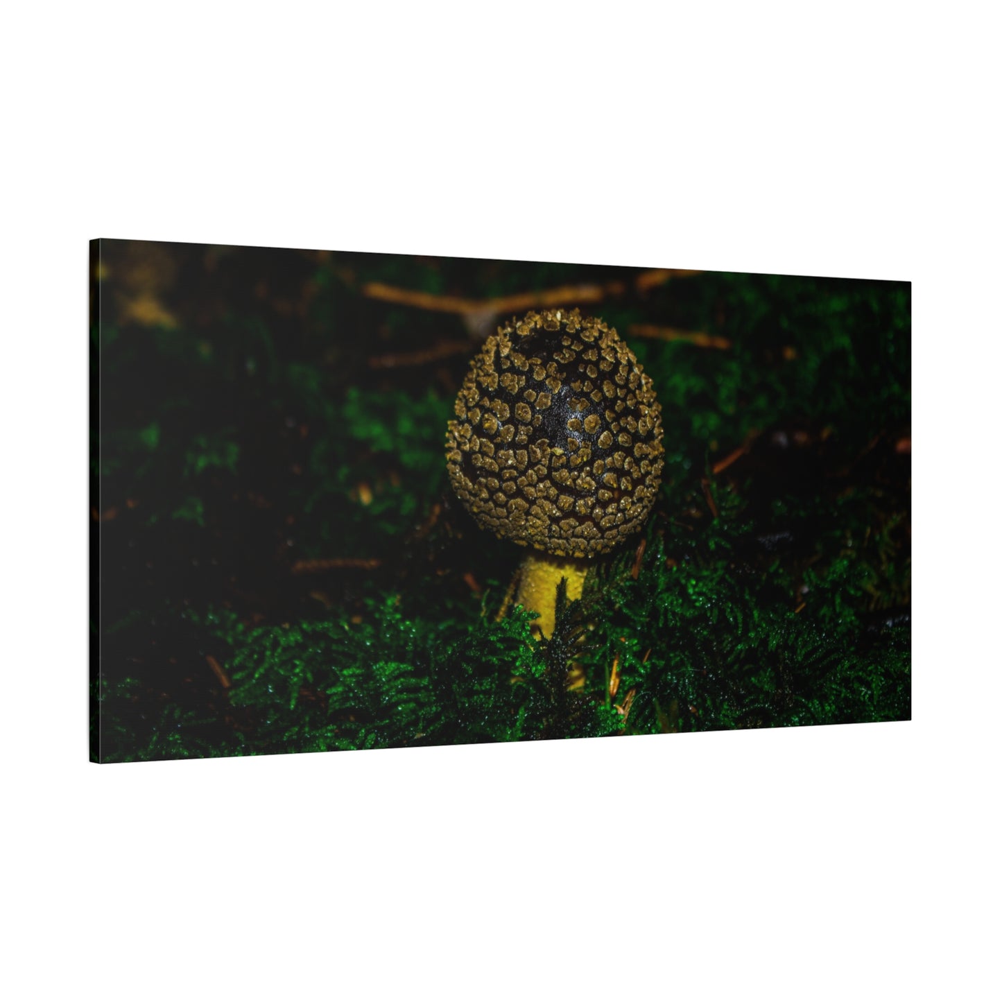 Canvas Print - Micro Mushroom Design