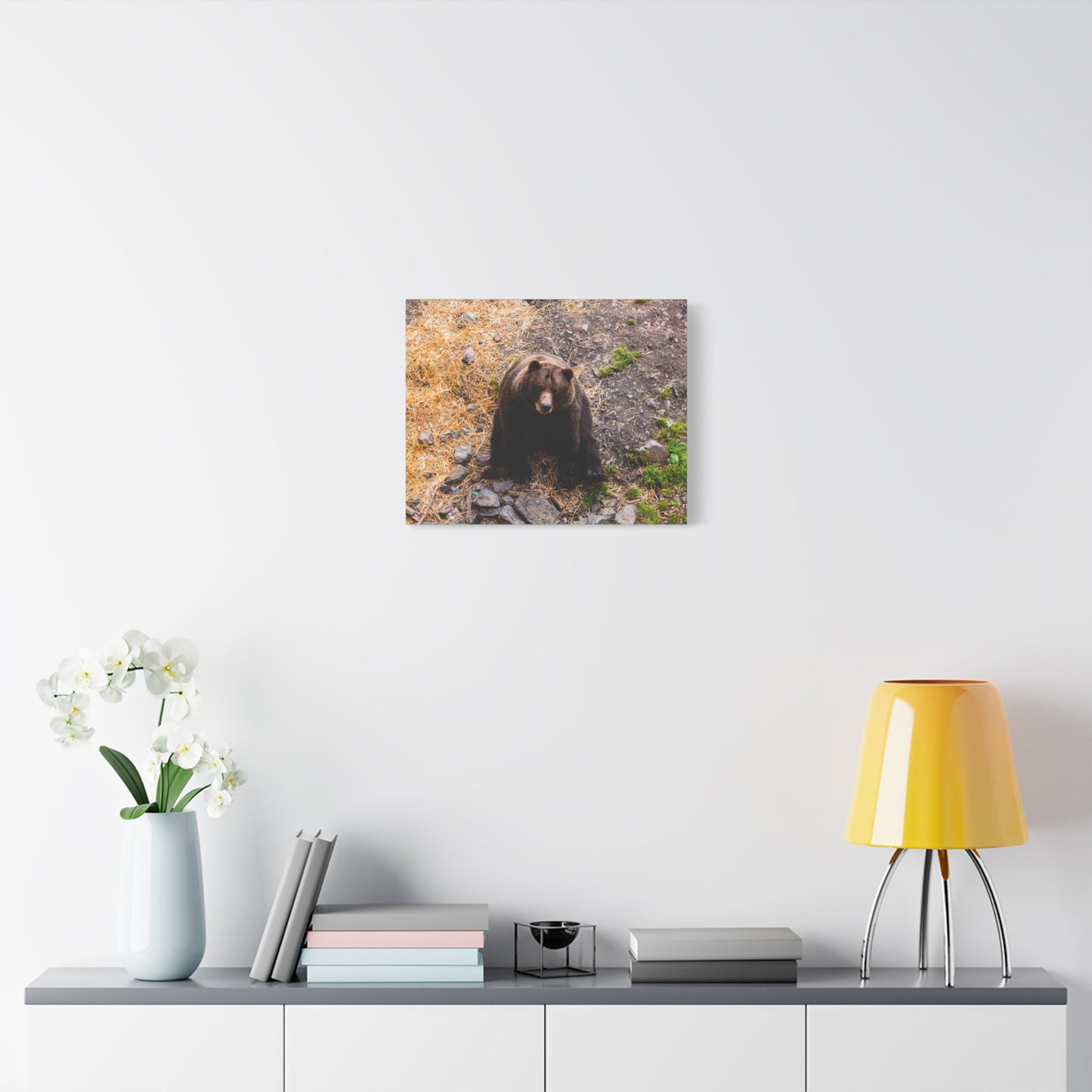 Canvas Print - Staring Bear Photograph