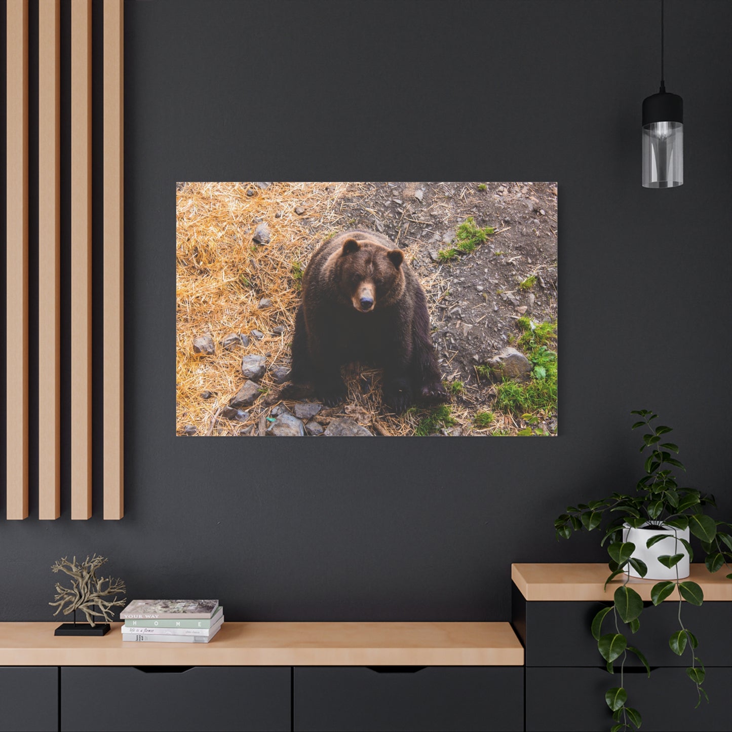 Canvas Print - Staring Bear Photograph