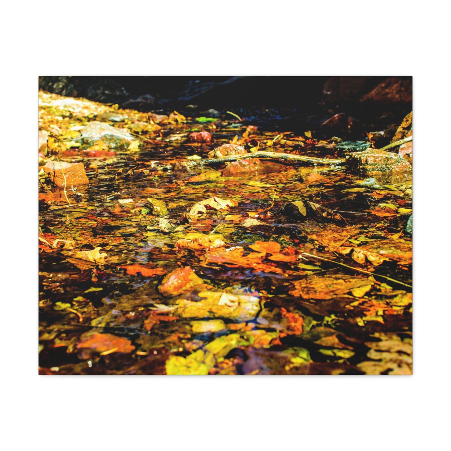 Canvas Print - Fall Leaves in Quiet Stream Photography