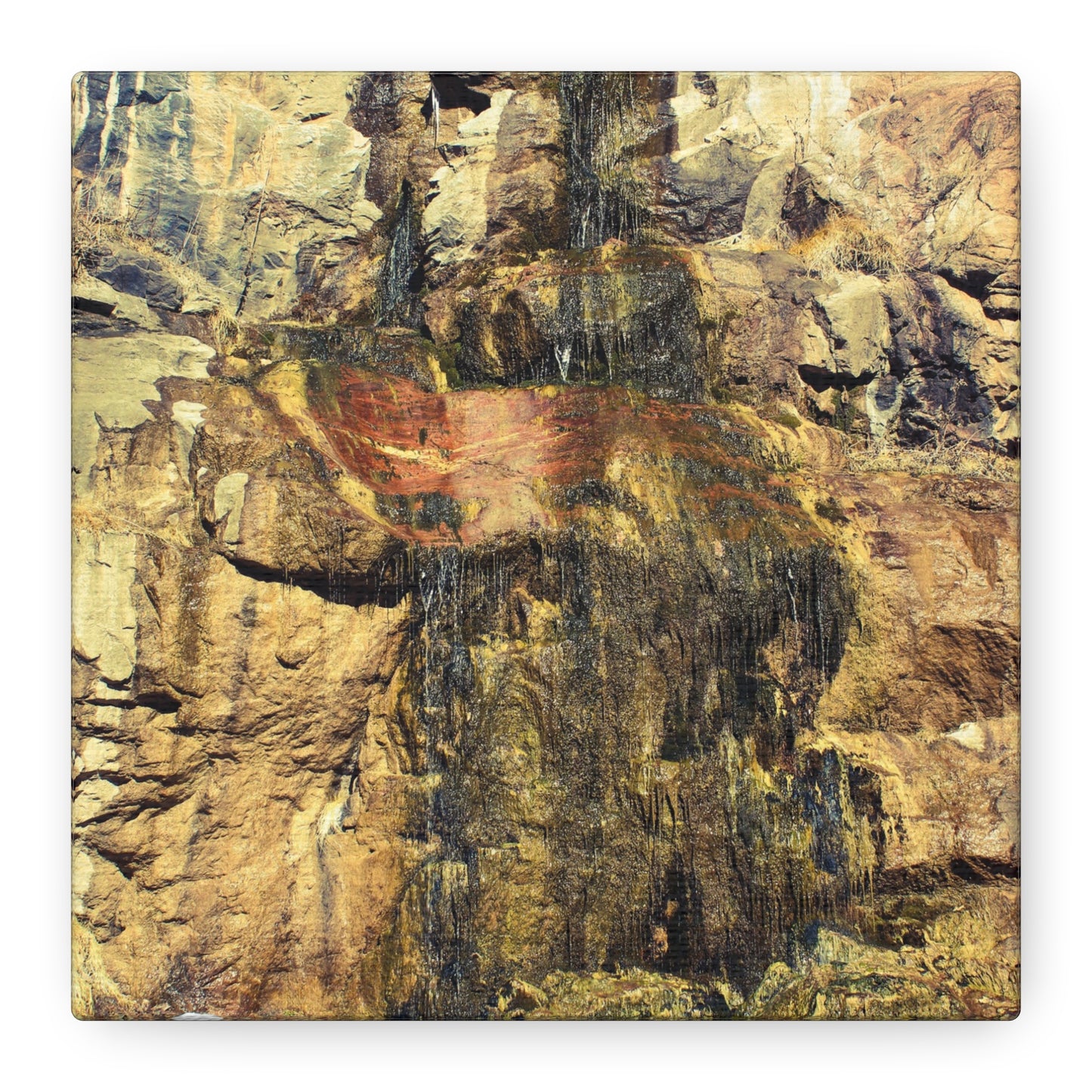Canvas Wall Art - Mossy Waterfall Photo