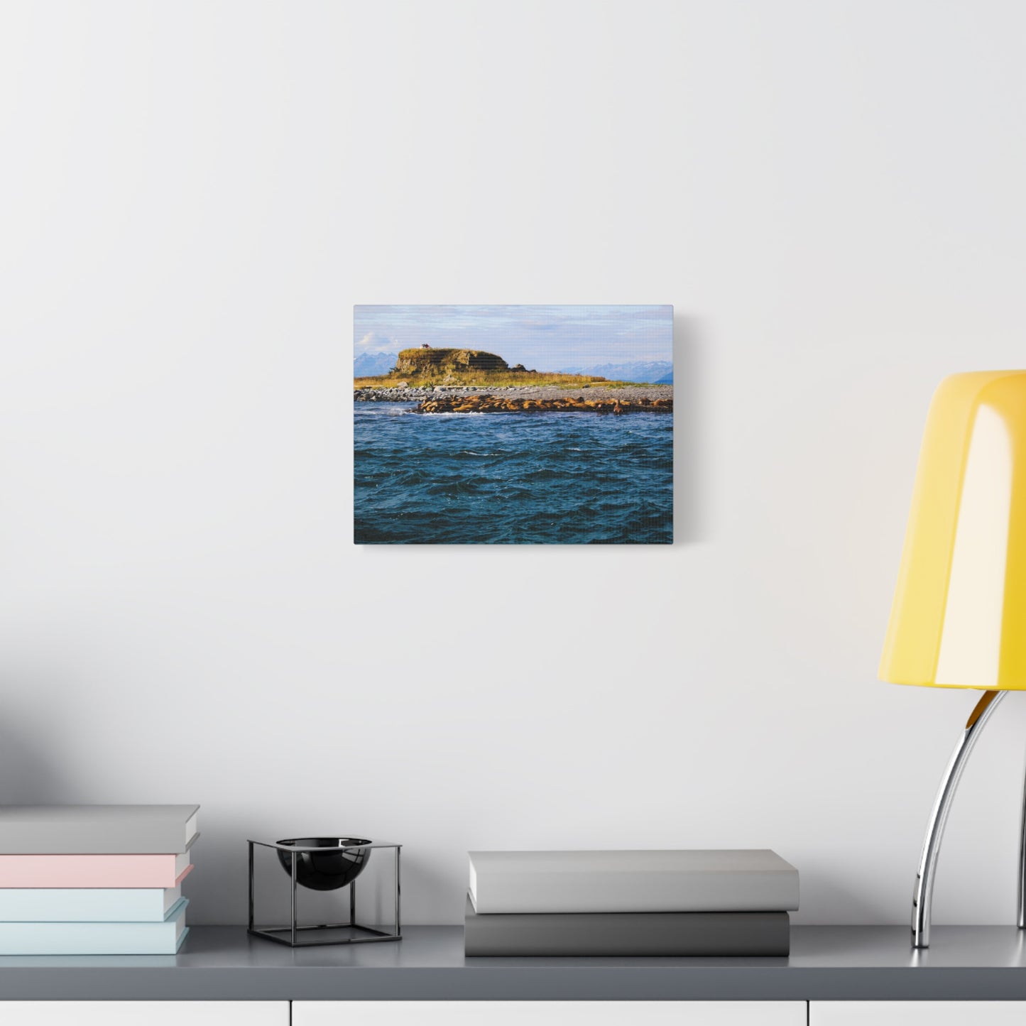 Canvas Print - Photo of Seal Island
