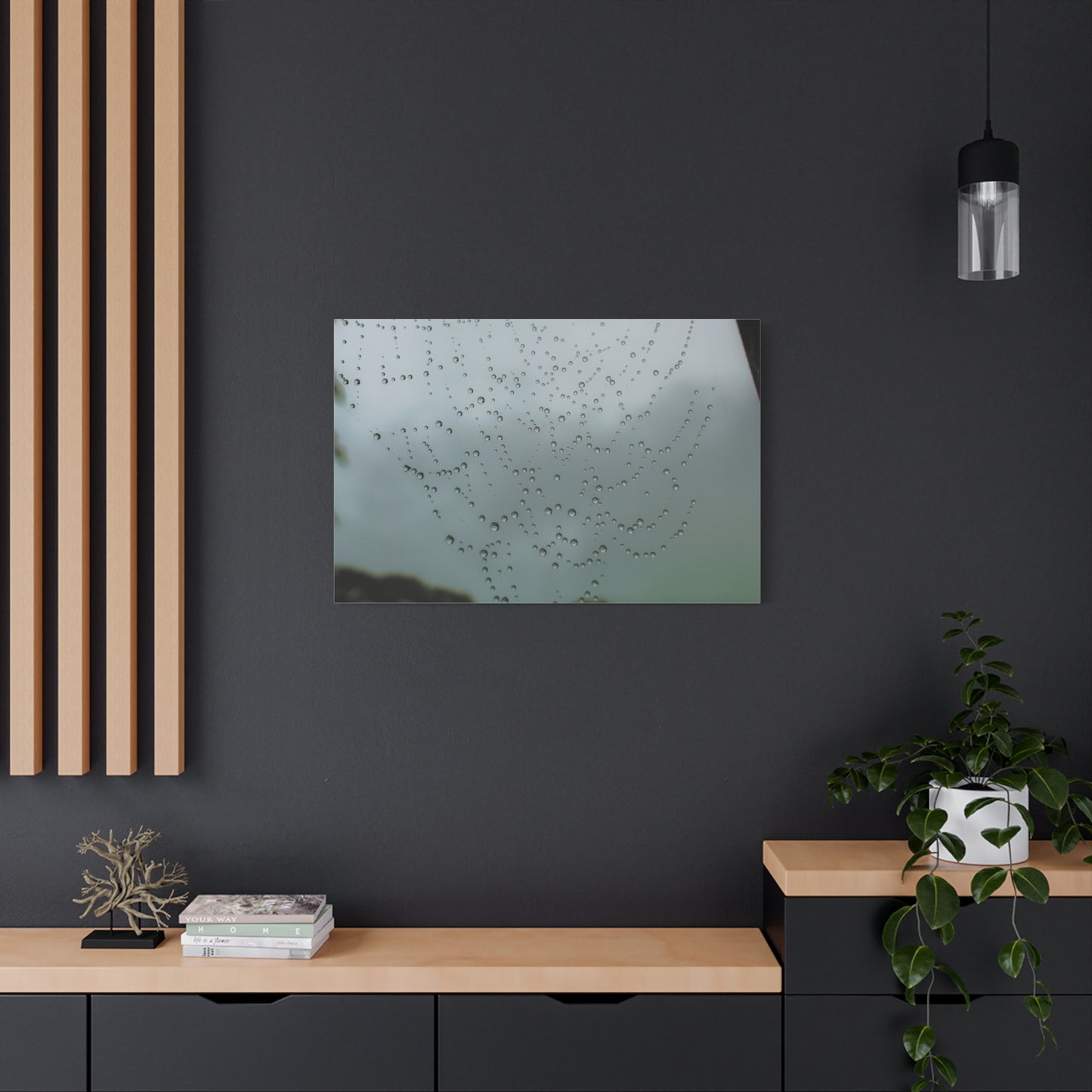 Canvas Print - Morning Dew on Spider Web Photo