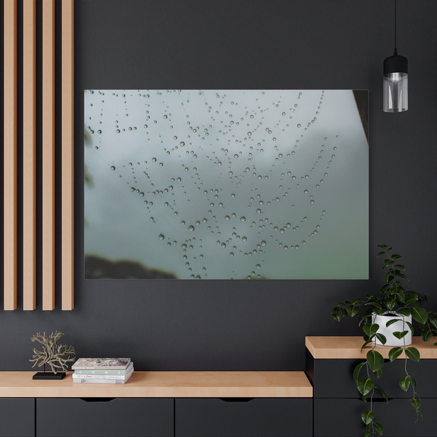 Canvas Print - Morning Dew on Spider Web Photo