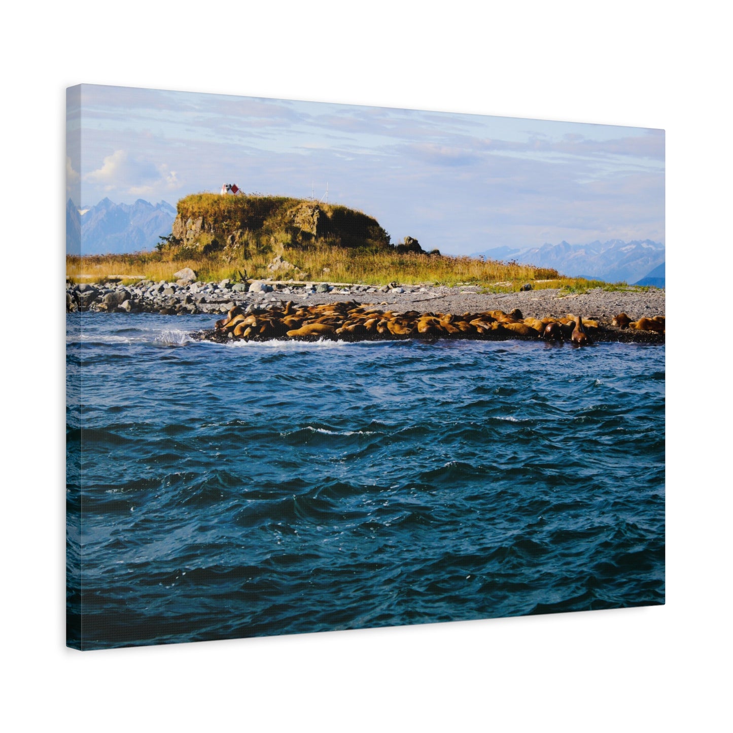Canvas Print - Photo of Seal Island
