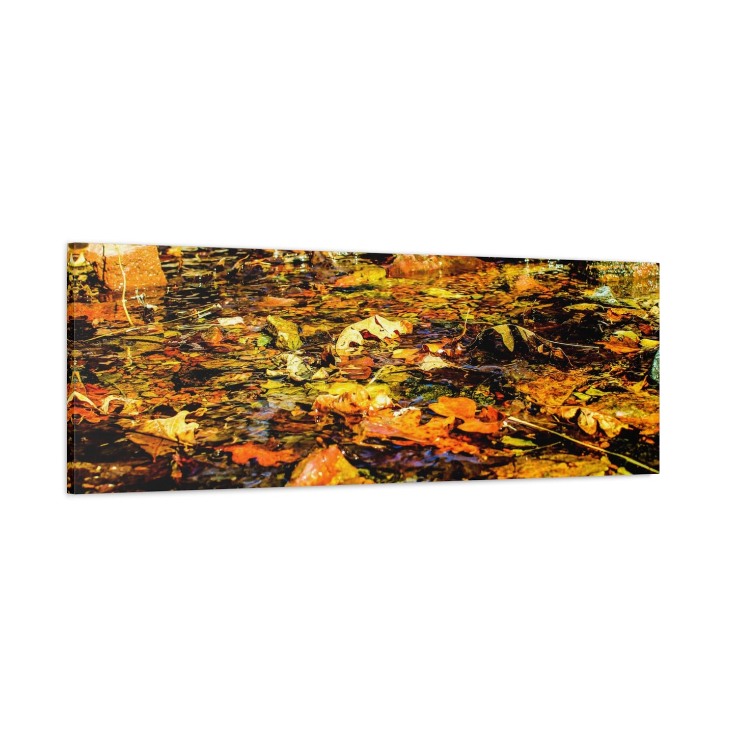 Canvas Print - Fall Leaves in Quiet Stream Photography