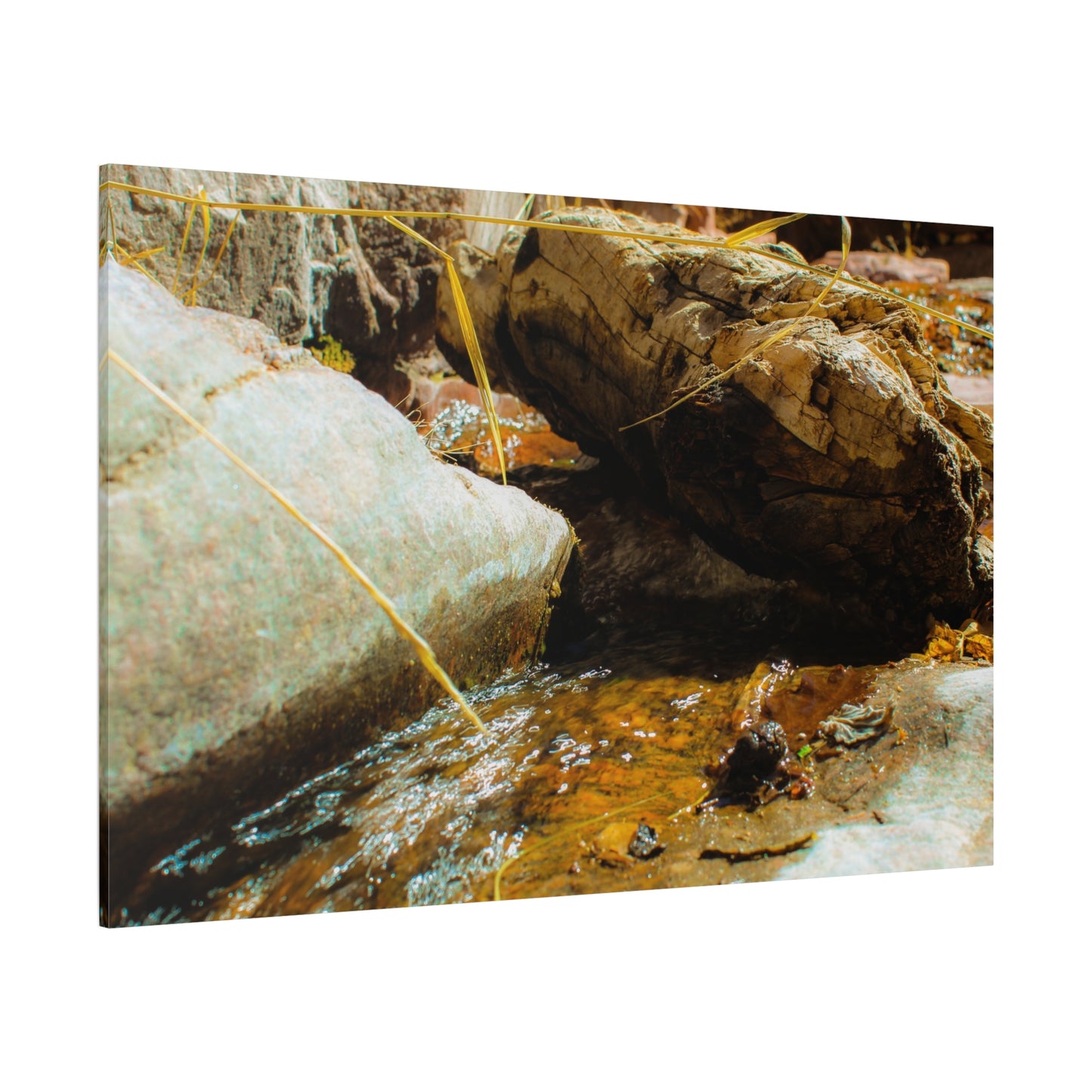 Canvas Print Lazy Log Photography