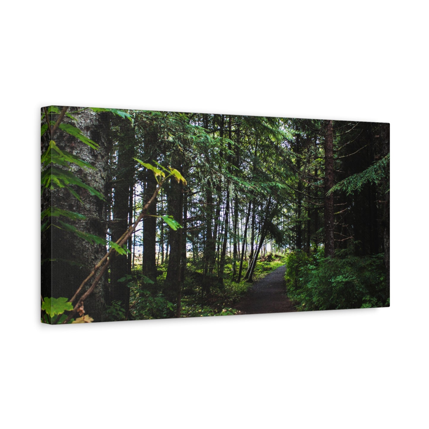 Copy of Canvas Art Print - Trail Through The Trees-Photograph
