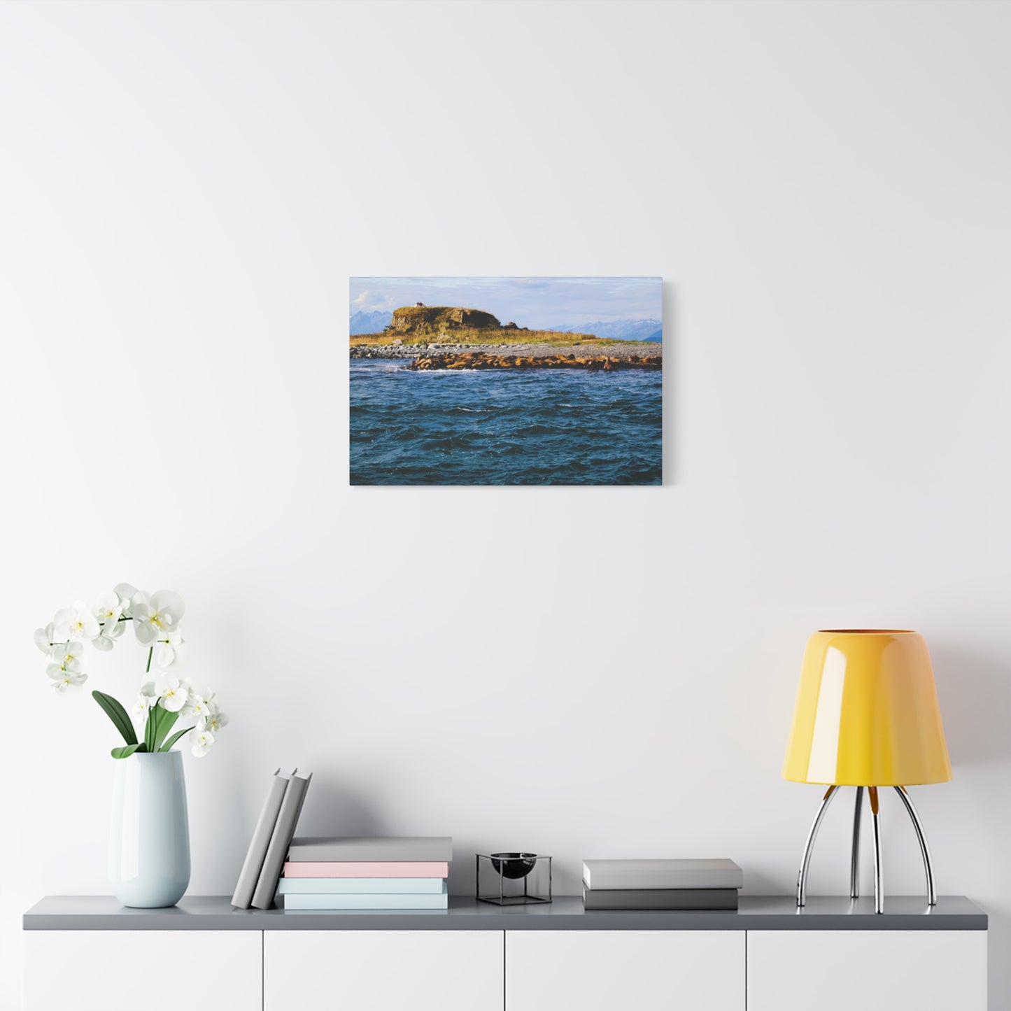 Canvas Print - Photo of Seal Island