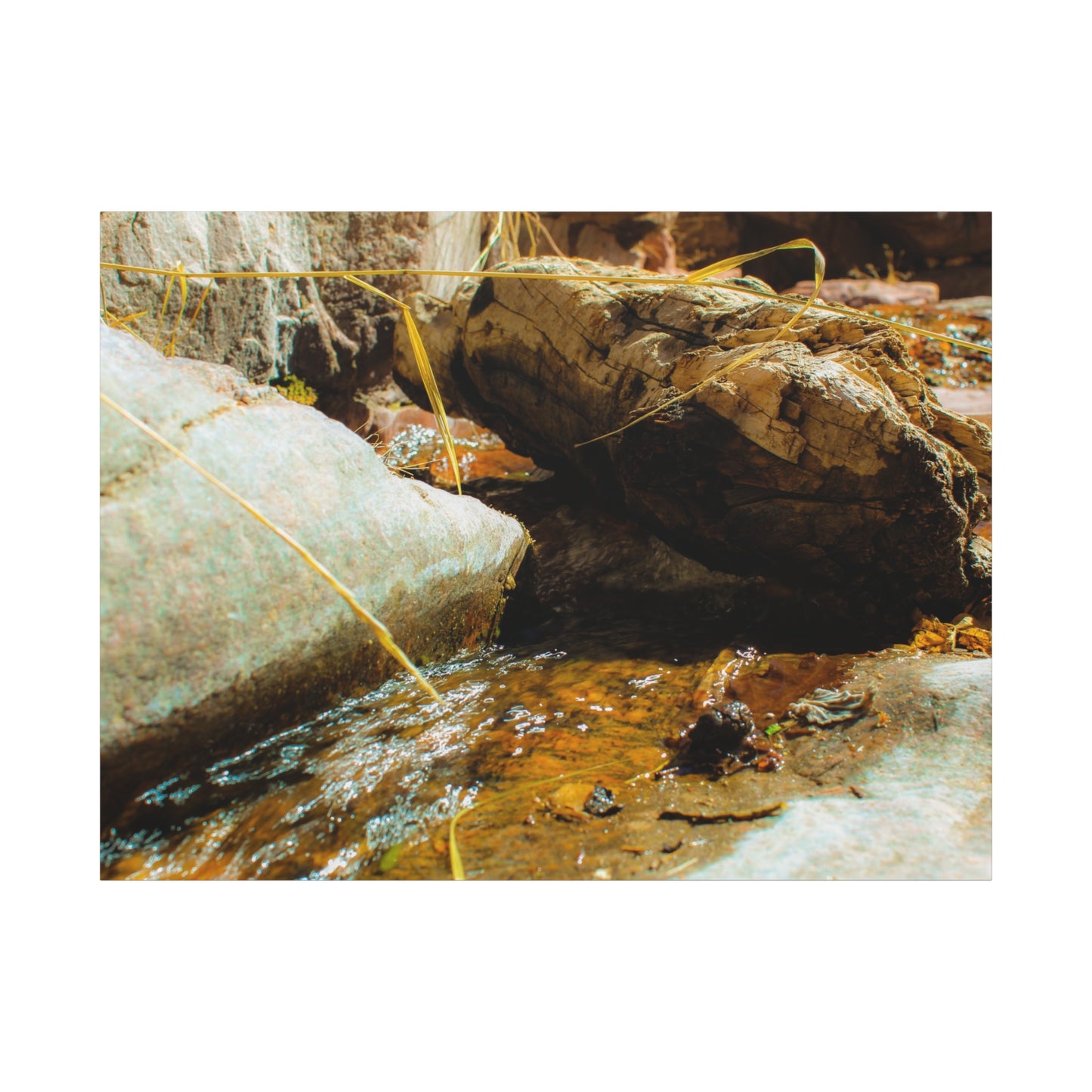 Canvas Print Lazy Log Photography