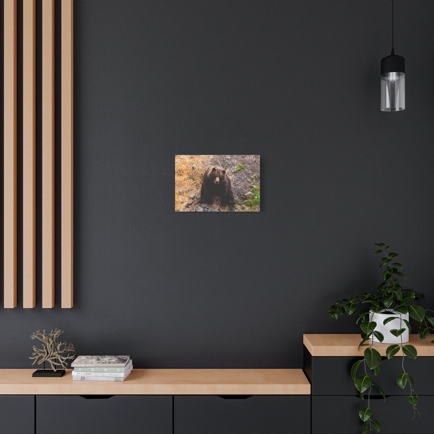 Canvas Print - Staring Bear Photograph