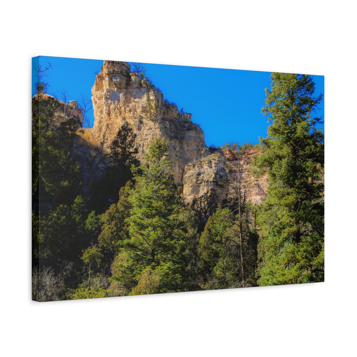 Canvas Print - Towering Cliff Green Trees Blue Skies Photography