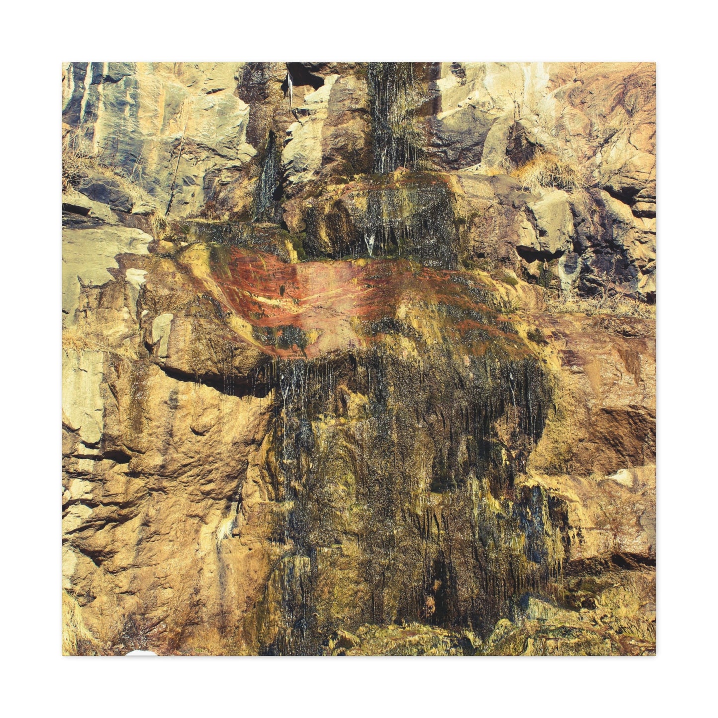 Canvas Wall Art - Mossy Waterfall Photo
