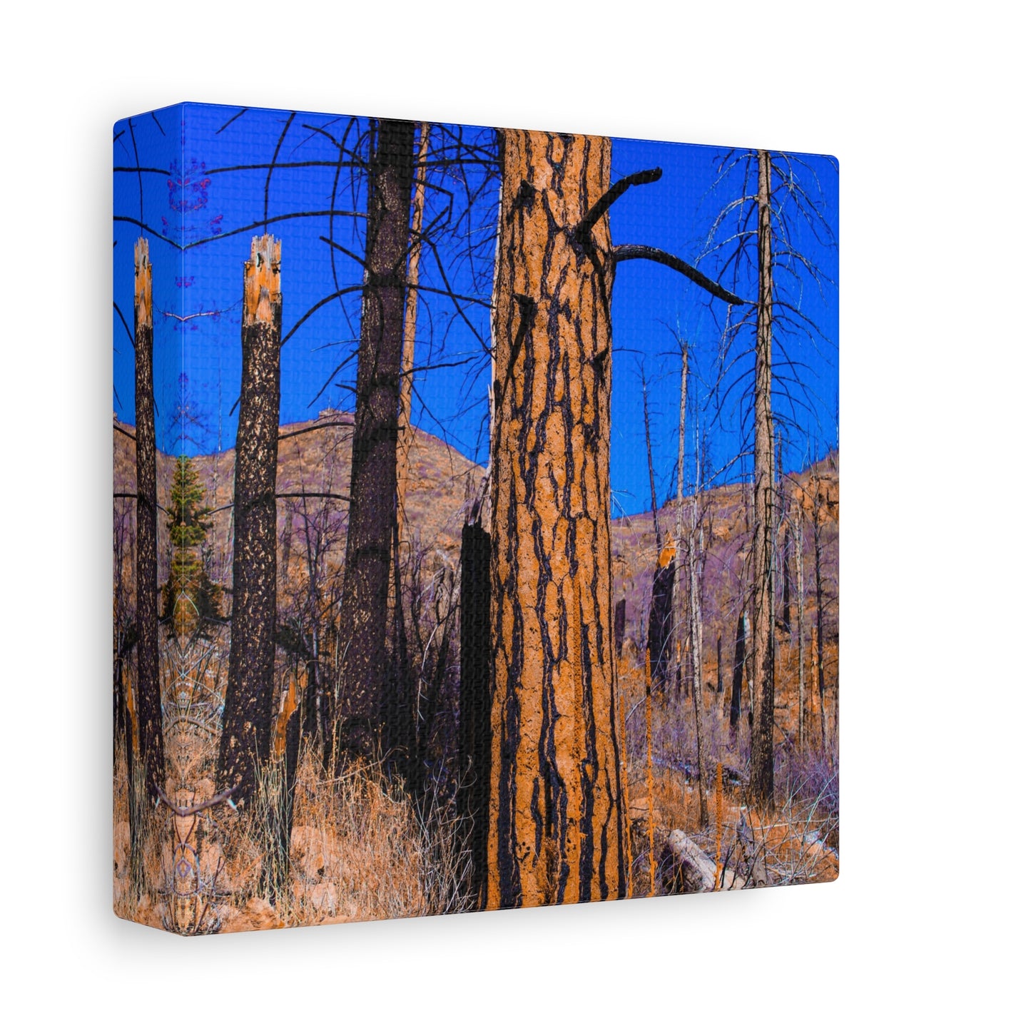 Canvas Print - Thunder Struck Tree Photo