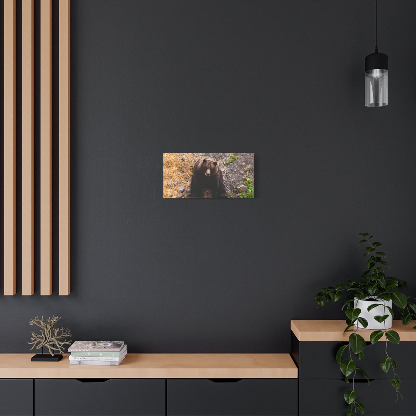 Canvas Print - Staring Bear Photograph