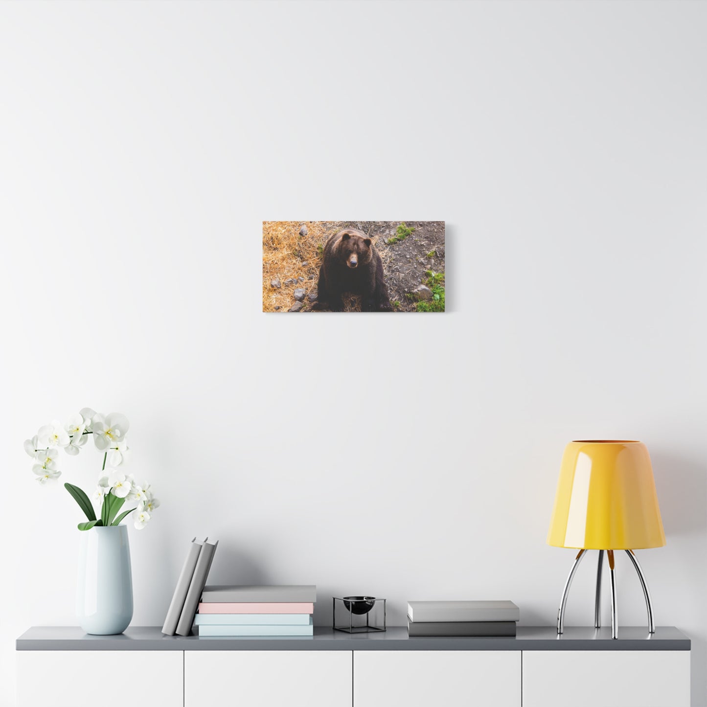 Canvas Print - Staring Bear Photograph
