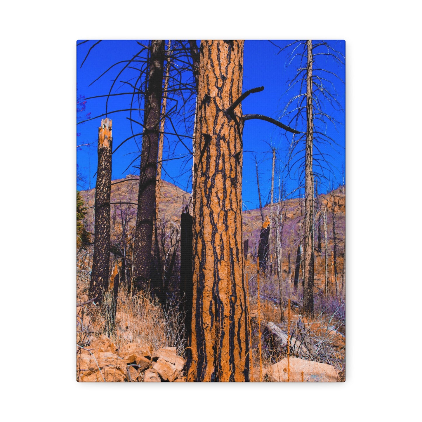 Canvas Print - Thunder Struck Tree Photo