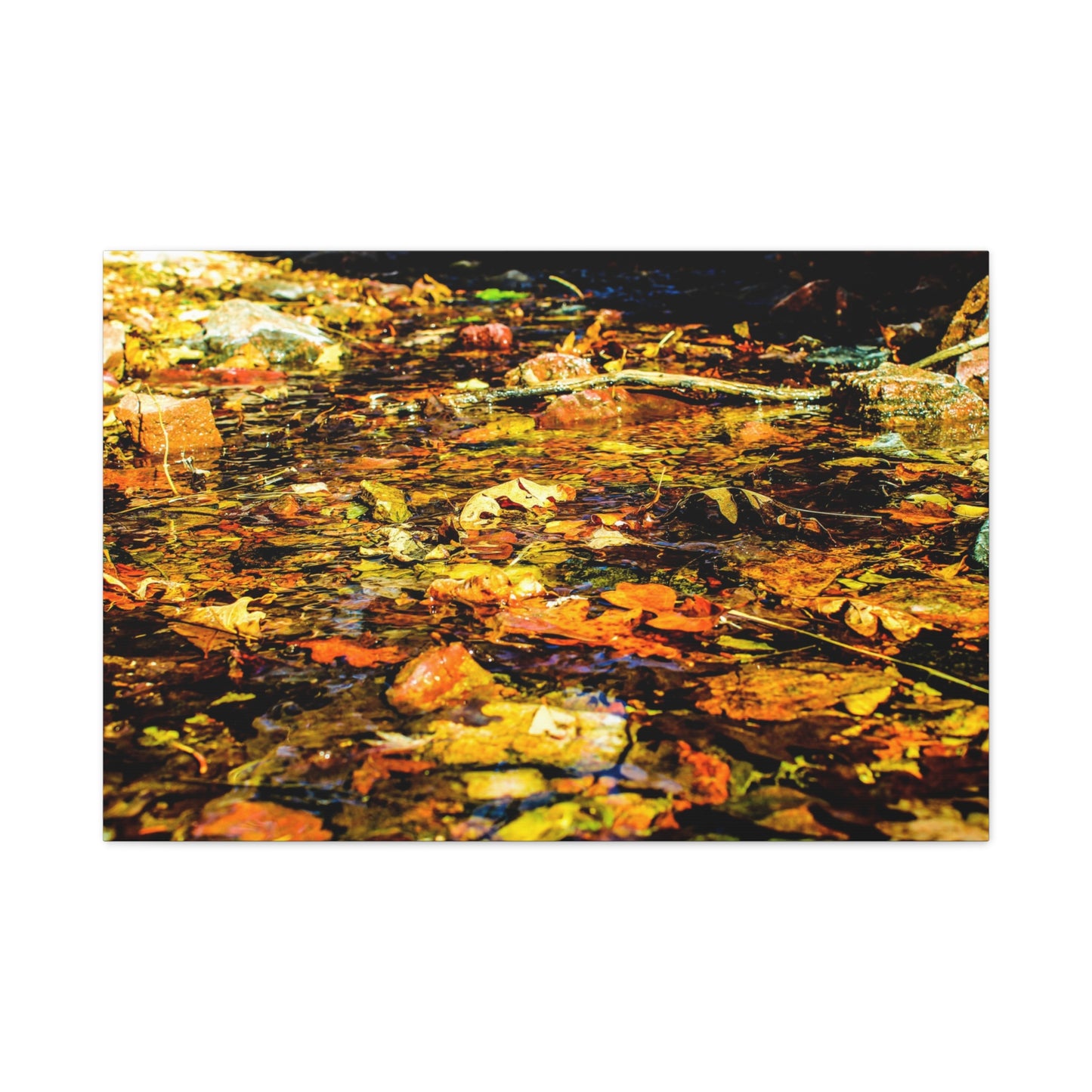 Canvas Print - Fall Leaves in Quiet Stream Photography
