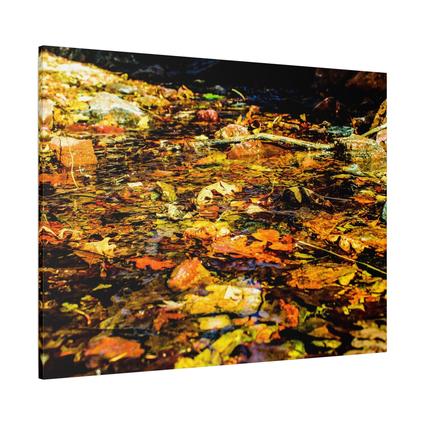 Canvas Print - Fall Leaves in Quiet Stream Photography