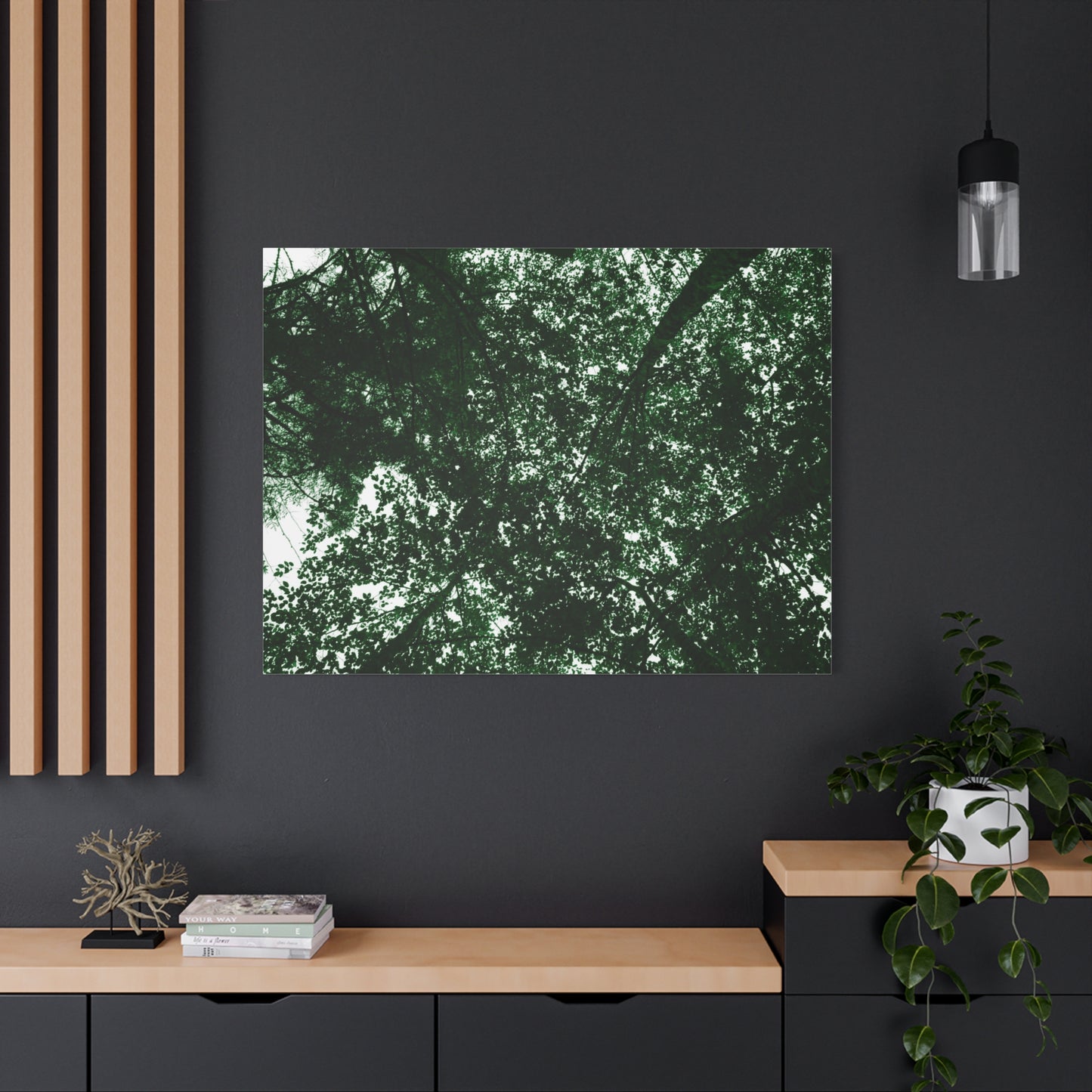 Canvas Print - Towering Tree Tops Photography