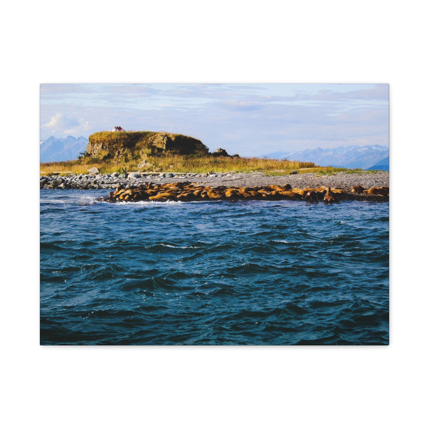 Canvas Print - Photo of Seal Island