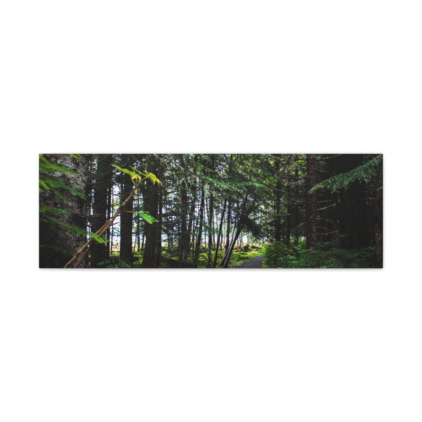 Copy of Canvas Art Print - Trail Through The Trees-Photograph