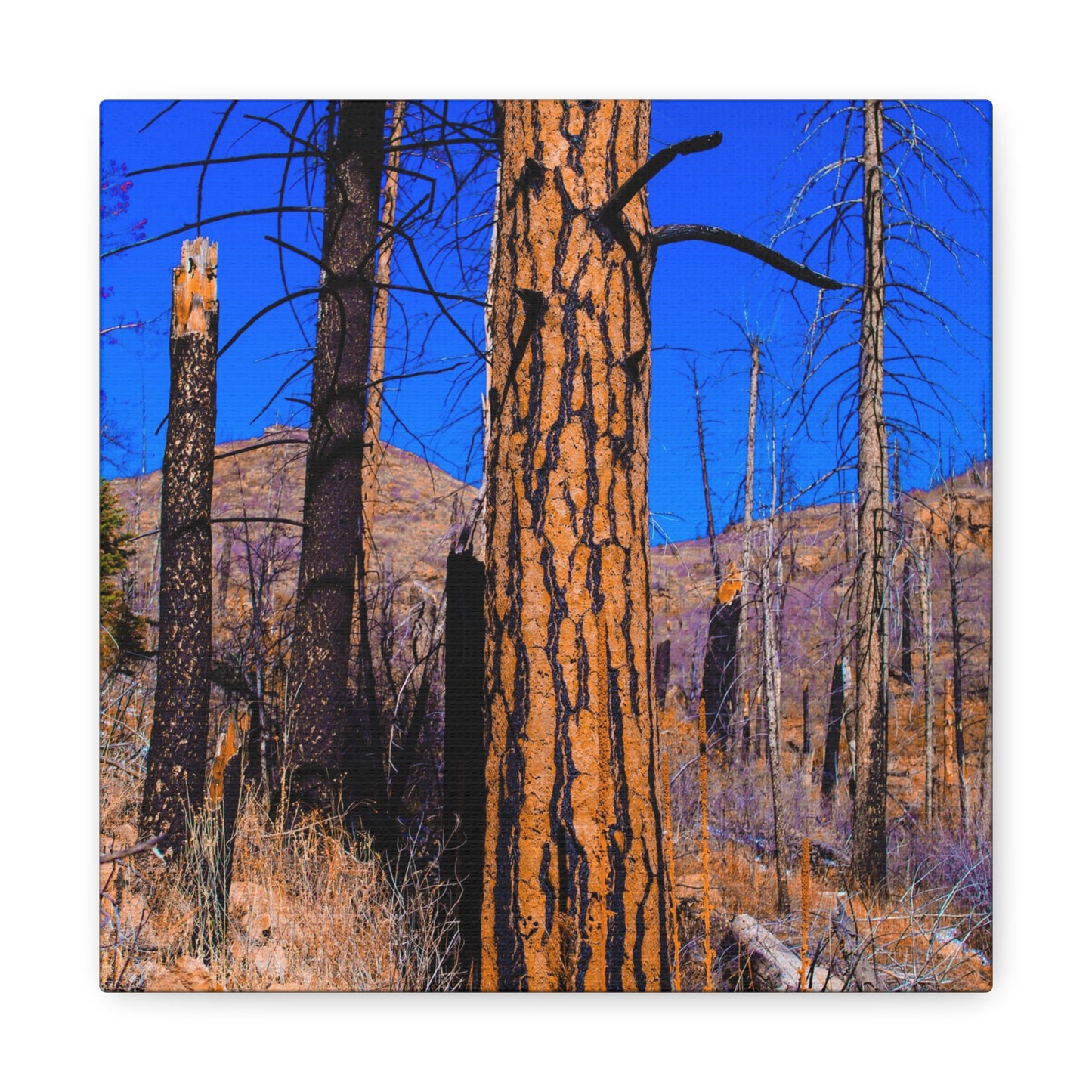 Canvas Print - Thunder Struck Tree Photo